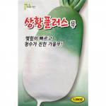 상황플러스무씨앗 1000립 청수가 진한 가을김장무