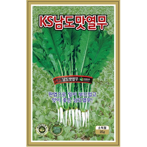 KS종묘 KS남도맛 25g 열무 씨앗 종자