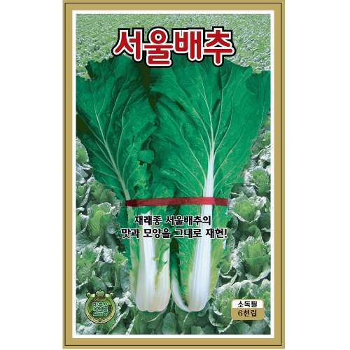 KS종묘 서울배추 6,000립 씨앗 종자