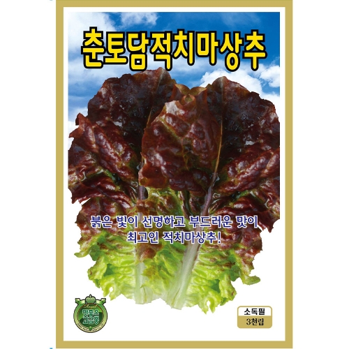 KS종묘 춘토담적치마 3,000립 상추 쌈채소 씨앗 종자