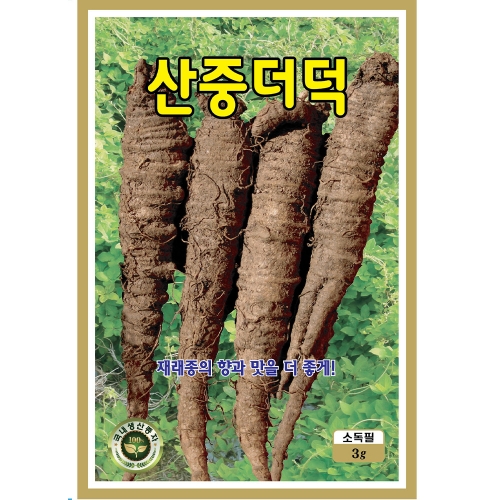 KS종묘 산중더덕 3g 씨앗 종자