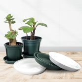 [가정원예 창고방출] 슬릿 화분 받침대 그린 화이트 투명