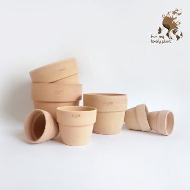 [득템찬스] 선착순!! 베트남토분 도토리 파격할인전