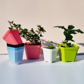 [가정원예 창고방출] 파스텔 미니 사각 화분