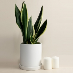 [득템찬스] 세라믹 화이트 도자기 화분 16호