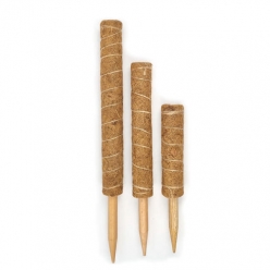 [득템찬스] 수태봉 40cm 식물지지대 코코폴