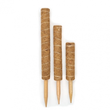 [가정원예 창고방출] 수태봉 식물지지대 코코폴