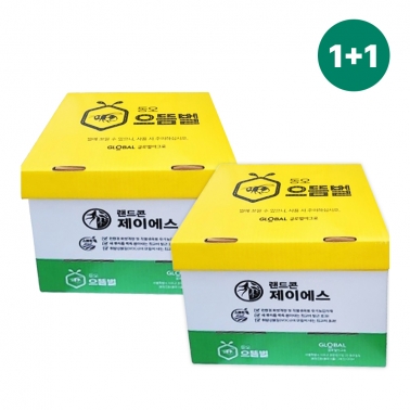 글로벌아그로 국산 수정벌 2통 으뜸벌 뒤영벌 과수 하우스 시설재배작물