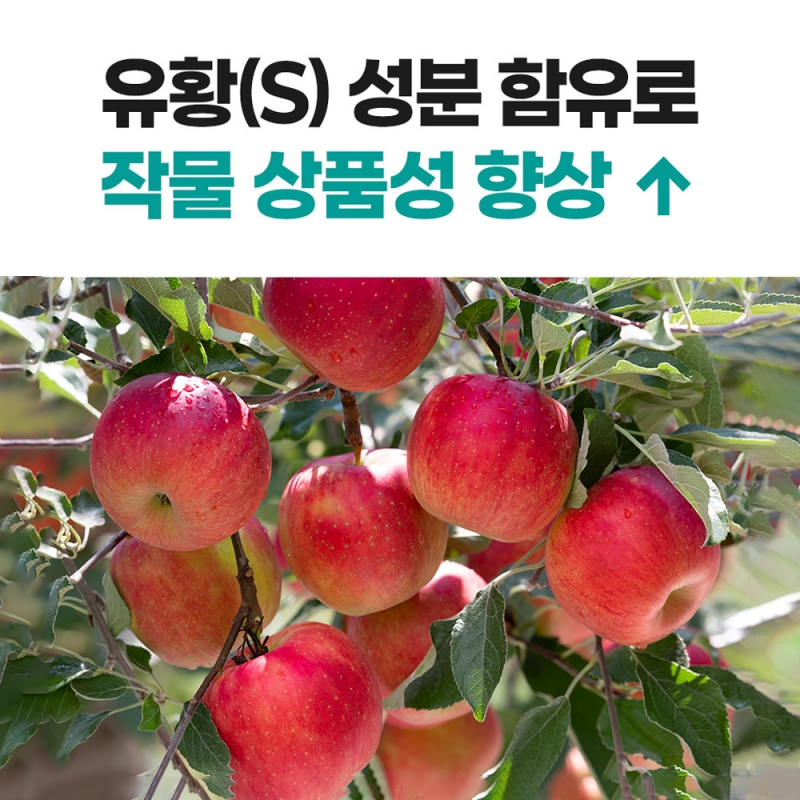 그로우Mg 황산마그네슘 비료 20kg 입상 황산고토 비료