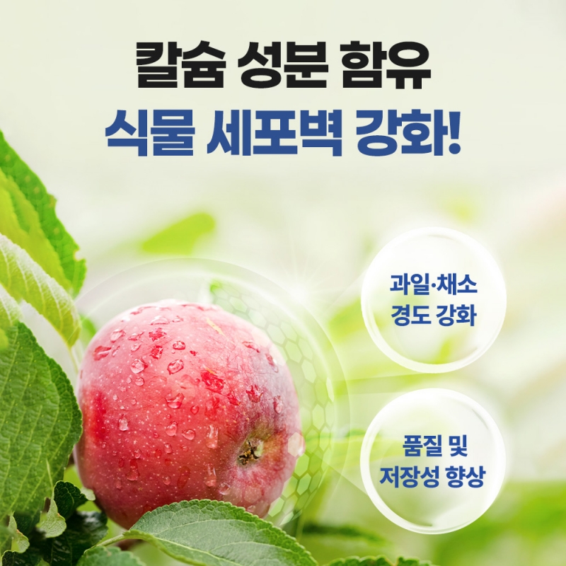그로우SP 입상과석 비료 20kg 인산칼슘 과린산석회