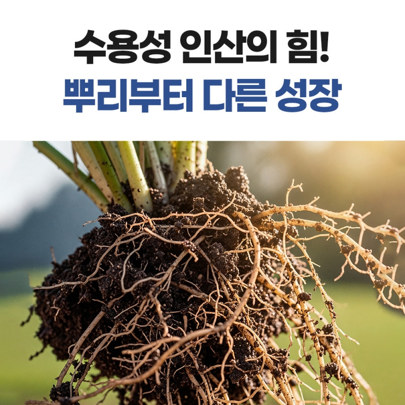 그로우SP 입상과석 비료 20kg 인산칼슘 과린산석회