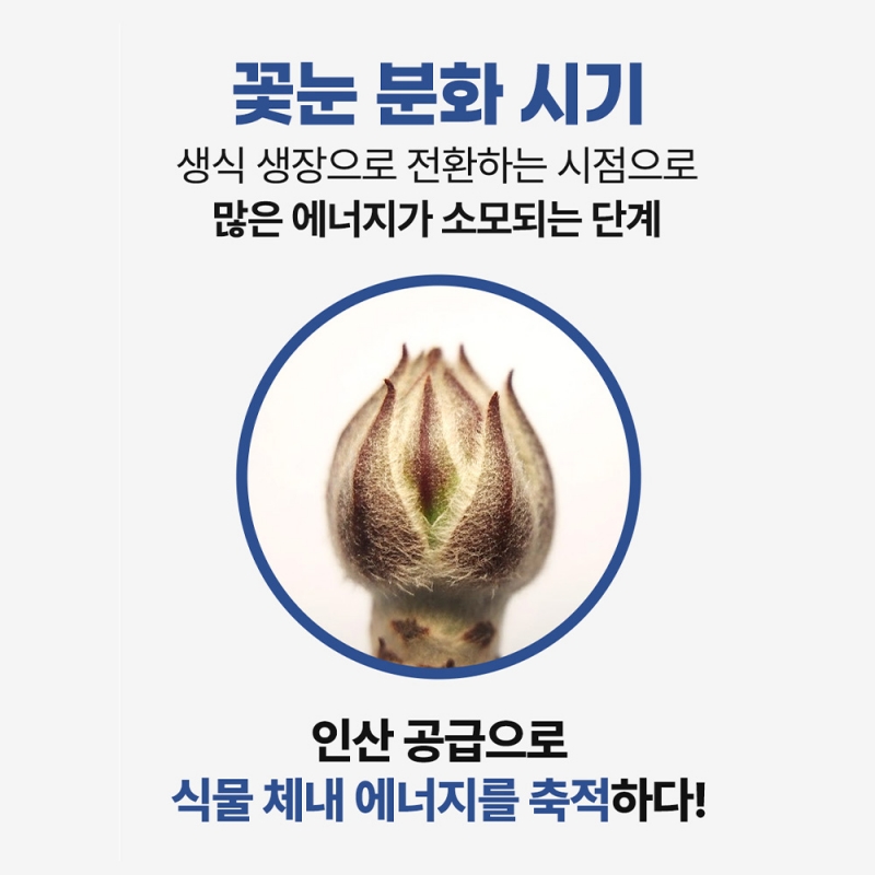 그로우SP 입상과석 비료 20kg 인산칼슘 과린산석회