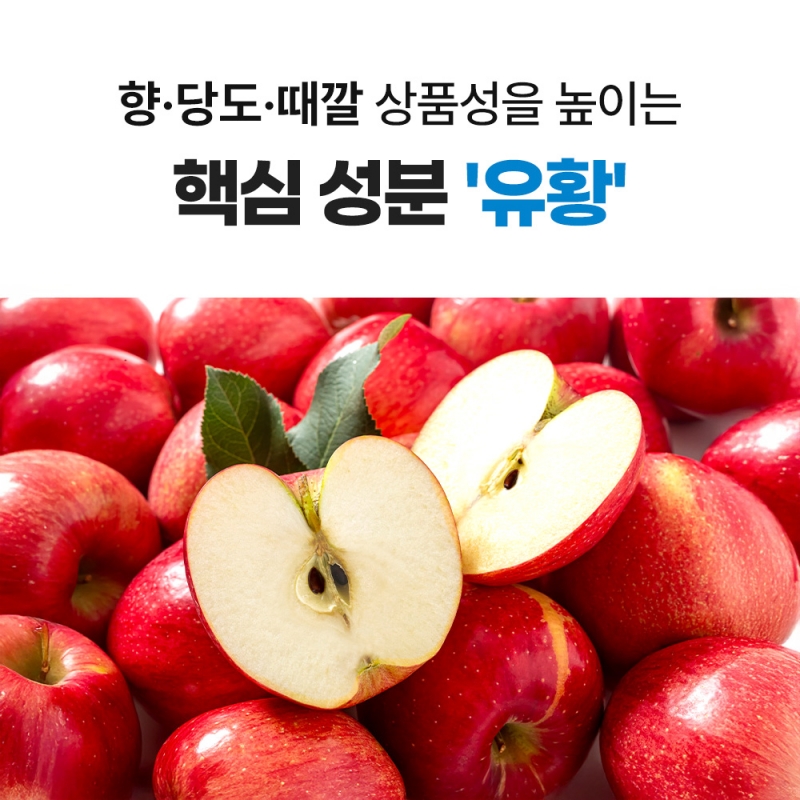 그로우GS 입상 칼슘유황비료 토양개량제 복합비료 20kg