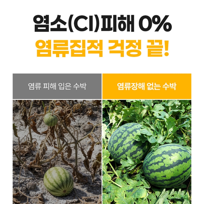 그로우K 입상황산가리 비료 20kg 마늘웃거름 황산칼륨