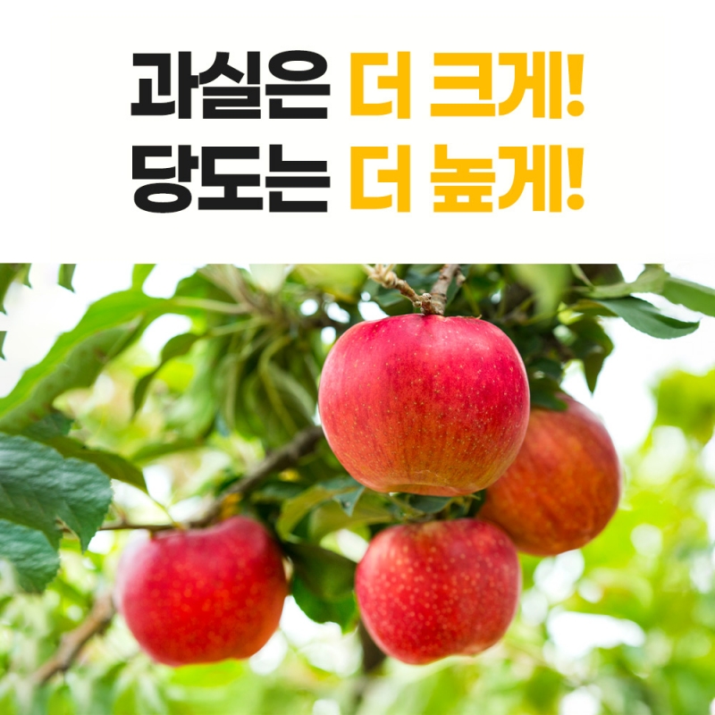 그로우K 입상황산가리 비료 20kg 마늘웃거름 황산칼륨