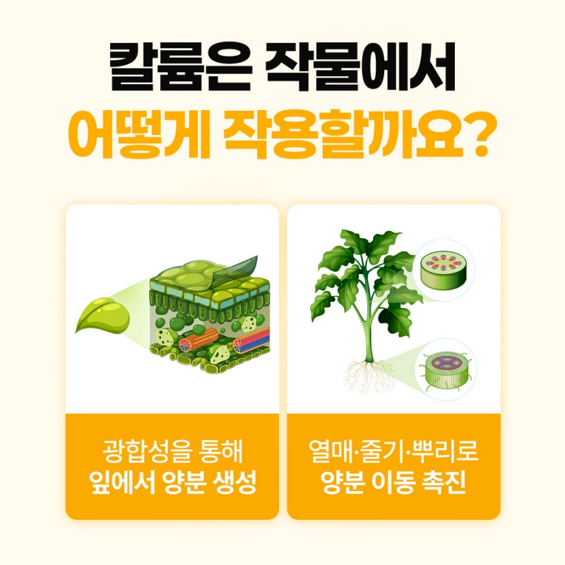 그로우K 입상황산가리 비료 20kg 마늘웃거름 황산칼륨