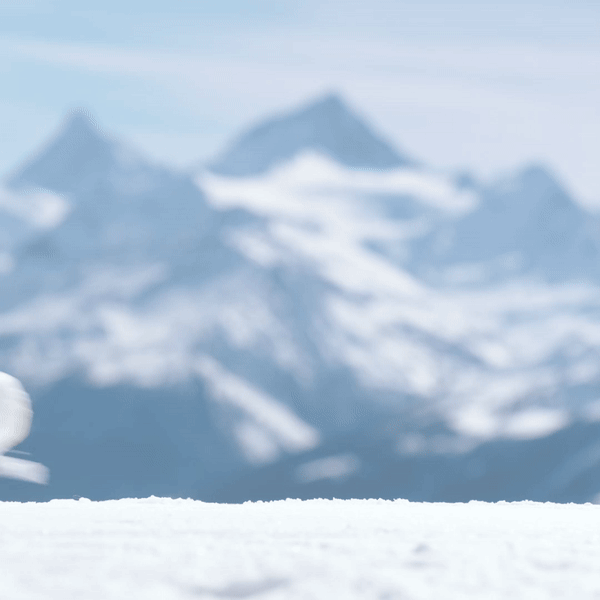 2526 니데커 스노우보드 부츠 리프트 프로 - 화이트 (N.26.BTM.RFP.WH) 2526 니데커 스노우보드 부츠 리프트 프로 - 화이트 (N.26.BTM.RFP.WH)