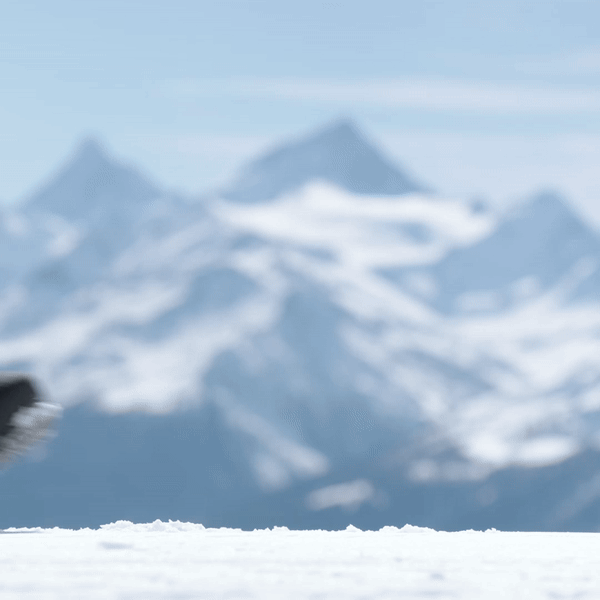 2526 니데커 스노우보드 부츠 키타 APX - 블랙 (N.26.BTM.KTX.BK) 2526 니데커 스노우보드 부츠 키타 APX - 블랙 (N.26.BTM.KTX.BK)