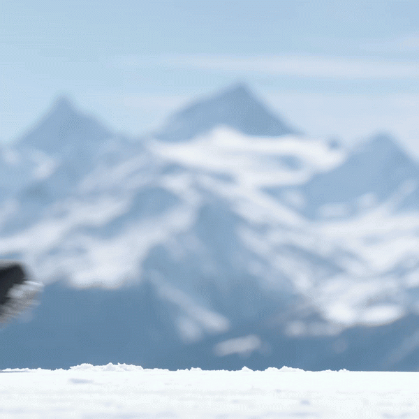 2526 니데커 스노우보드 부츠 키타 APX - 블랙 (N.26.BTM.KTX.BK)