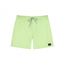 립컬 남성용 보드숏 데일리 16인치 발리숏 - 파티나 그린 (04FMBO0912)