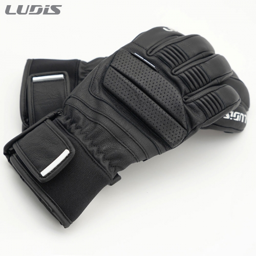 2526 루디스 남성용 스키 장갑 데모 그립 - 블랙 (26LRPDUG03-BK)