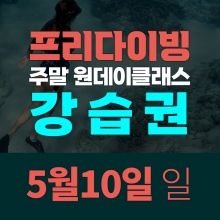 [일요일권] 송대장 프리다이빙 주말 원데이 클래스 (2026.5.10 강습권)