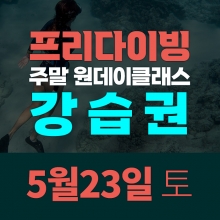 [토요일권] 송대장 프리다이빙 주말 원데이 클래스 (2026.5.23 강습권)