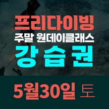 [토요일권] 송대장 프리다이빙 주말 원데이 클래스 (2026.5.30 강습권)