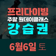 [토요일권] 송대장 프리다이빙 주말 원데이 클래스 (2026.6.6 강습권)