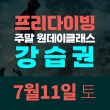 [토요일권] 송대장 프리다이빙 주말 원데이 클래스 (2026.7.11 강습권)
