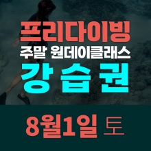 [토요일권] 송대장 프리다이빙 주말 원데이 클래스 (2026.8.1 강습권)