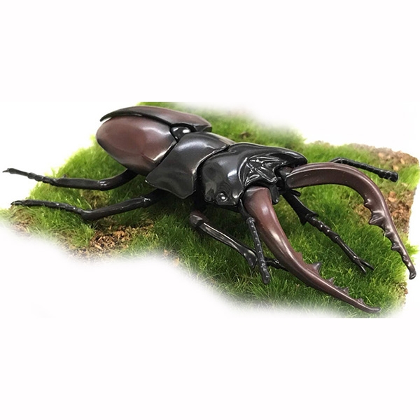 [직수입 정품 당일발송] 후지미모형 자유연구22 사슴벌레 딱정벌레 풍뎅이 2개 피규어