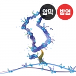 나무 시리즈3(버티컬)