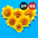 하트 시리즈2(버티컬)