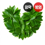 하트 시리즈5(버티컬)