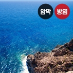 바다 시리즈4(버티컬)