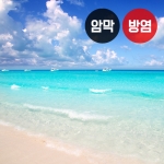 바다 시리즈4(버티컬)