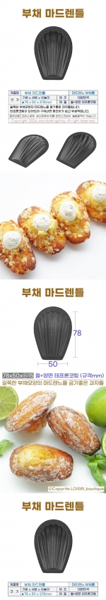 부채 마드렌팬 (부채마들렌틀)