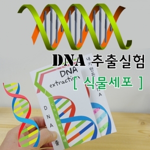 식물세포 DNA추출법(10인용)