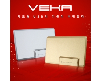 이츠 베카 카드형 USB 골드/실버 4GB