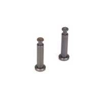TLR244007 Hinge Pins, 4 x 21mm, TiCn (2): 8B 3.0