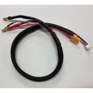DTC07094-A (충전 짹) XT60 (Female) - 5mm Bullet 2S Balance Charge Cable 450mm