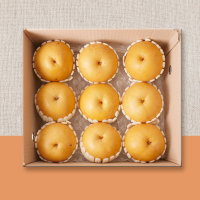 나주 배(신고) 가정용 5kg 6-12과