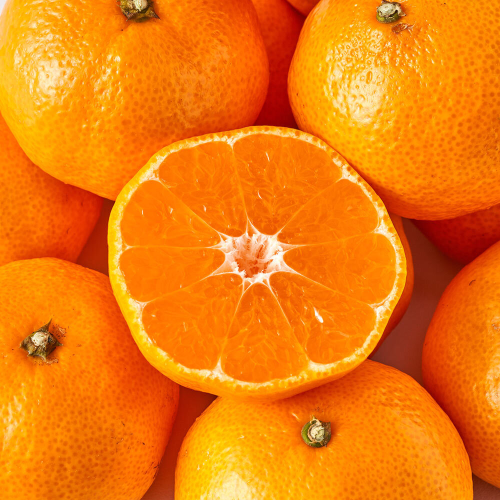 조생감귤 4.5kg 한입소과