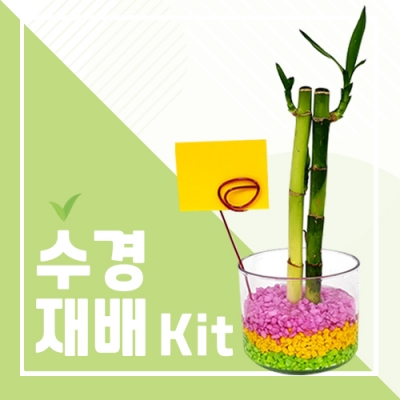 수경 재배 키트 (활동지, 동영상 포함)