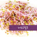 레드코랄무 1kg