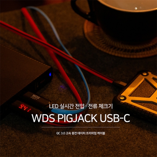 PIGJACK USB C타입 충전케이블 전압 전류 체크