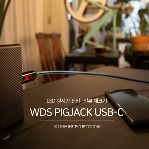 PIGJACK USB C타입 충전케이블 전압 전류 체크