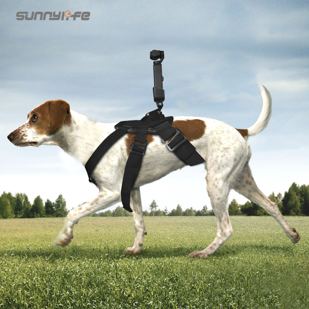 Sunnylife 오즈모포켓 도그밴드 어댑터 어답터 OSMO POCKET Pet Dog Band and Adapter