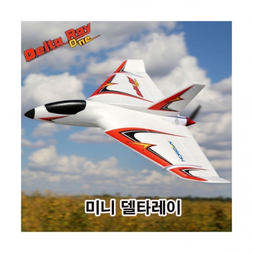 미니 델타레이 초보 입문용 RC비행기 Delta Ray One BNF